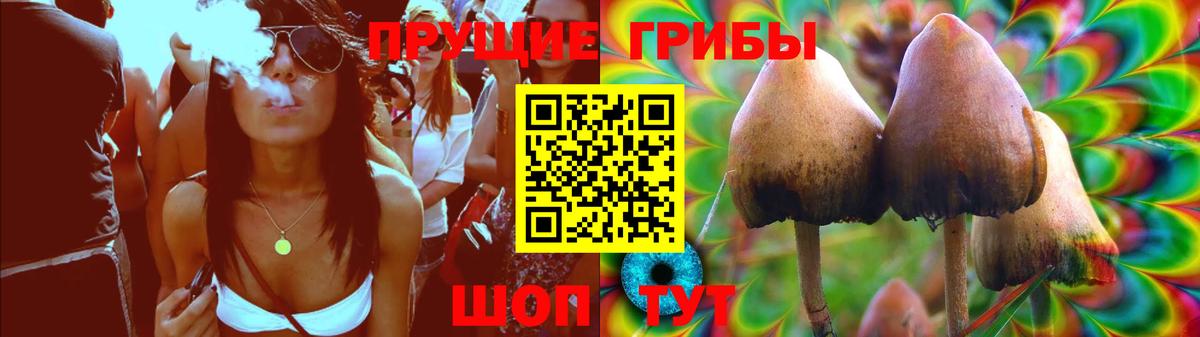 Псилоцибиновые грибы ЛСД  Вход с VPN  Псилоцибиновые грибы Magic Shrooms  Солнечногорск 
